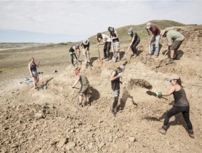 7500万年前的萨斯喀彻温省发现了首个同类恐龙化石