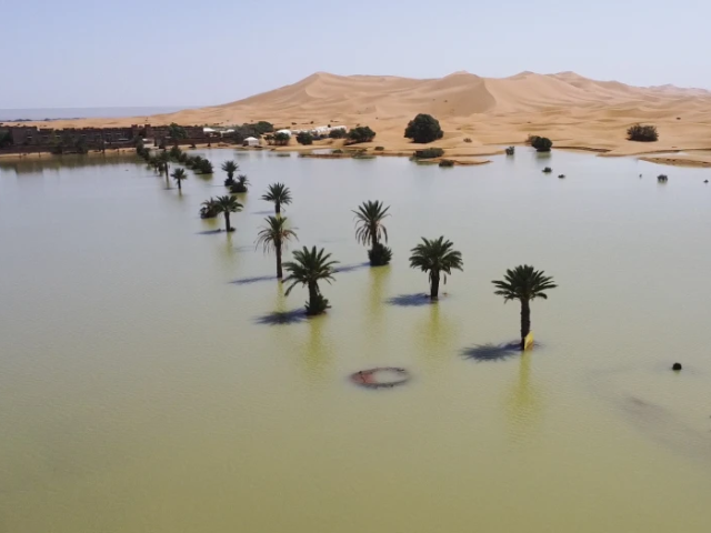 Palm trees are flooded in a lake caused by heavy rainfall in the desert town of Merzouga, near Rachidia, southeastern Morocco, Wednesday, Oct. 2, 2024. (AP Photo)